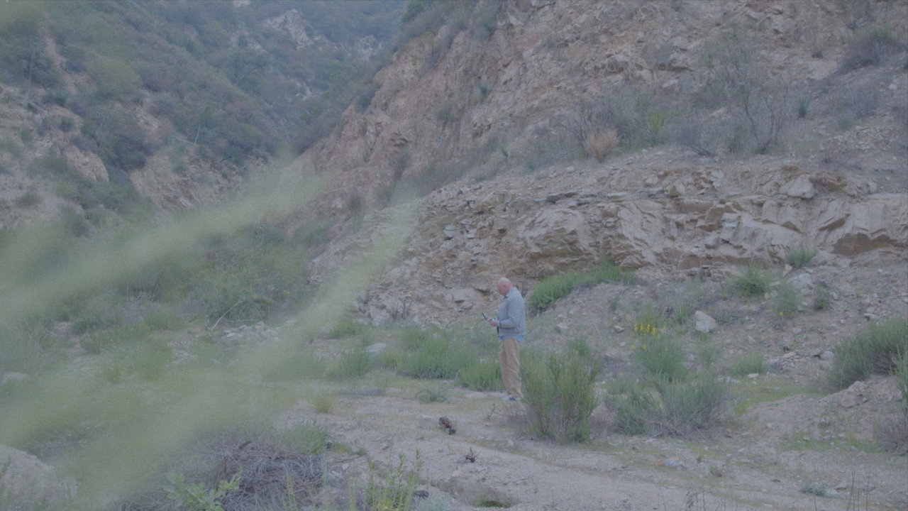 On My Way Home backdrop