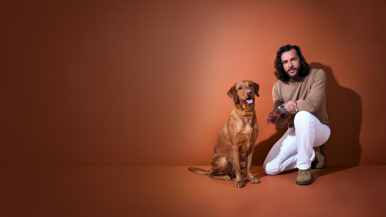 Pete Wicks: For Dogs’ Sake backdrop