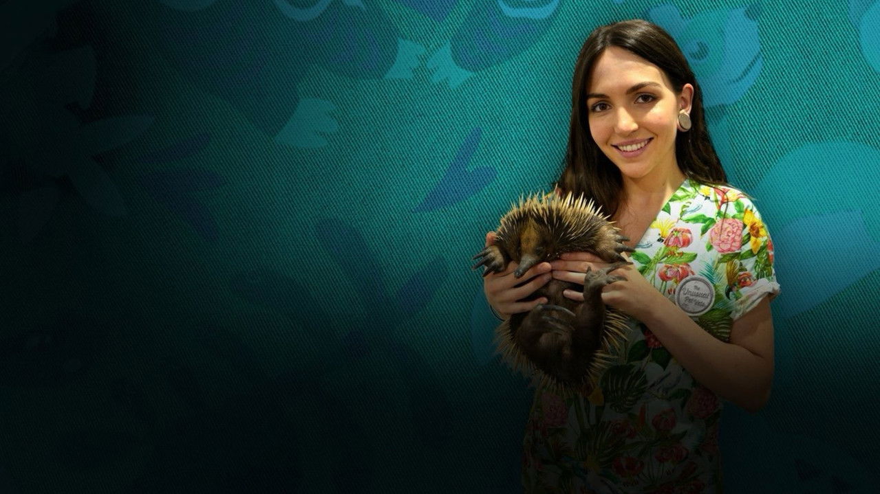 The Bizarre Pet Vets backdrop