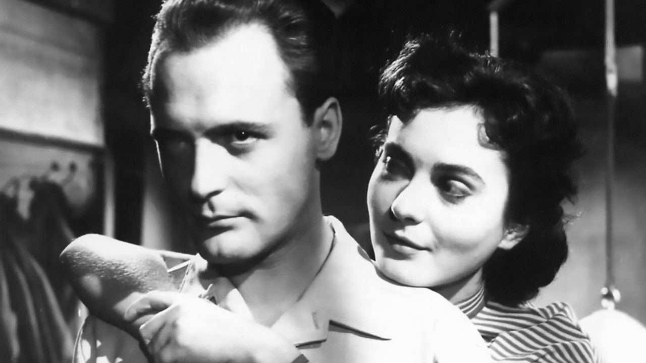 Don't Whisper backdrop