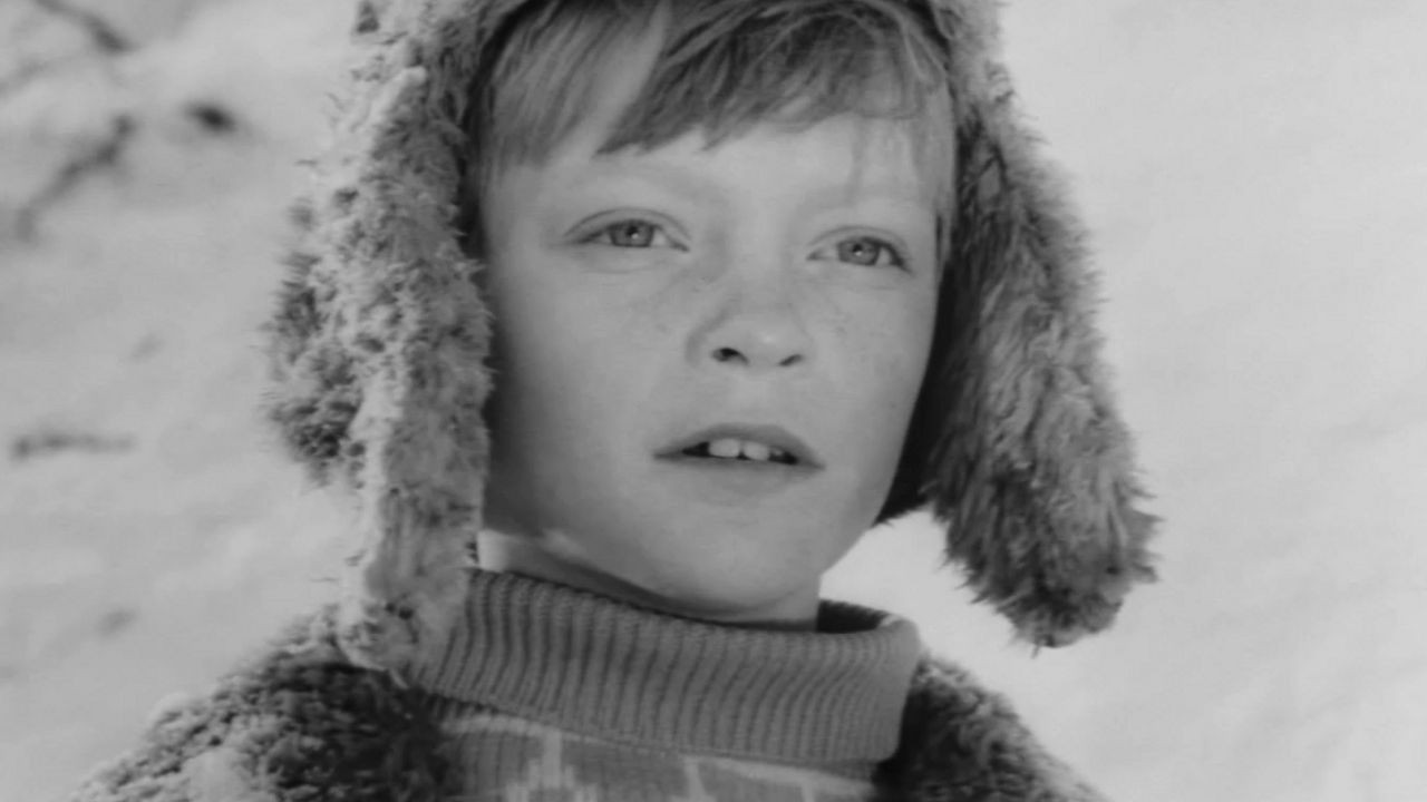 The Large Trampoline backdrop