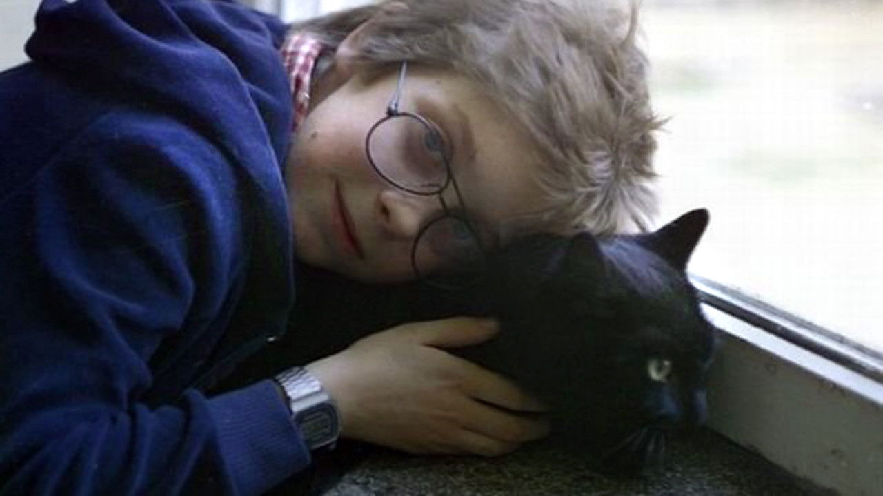 Seven Wishes backdrop