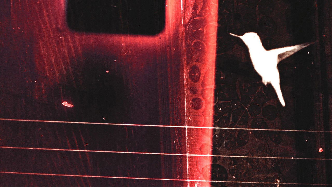 lessons on flight backdrop