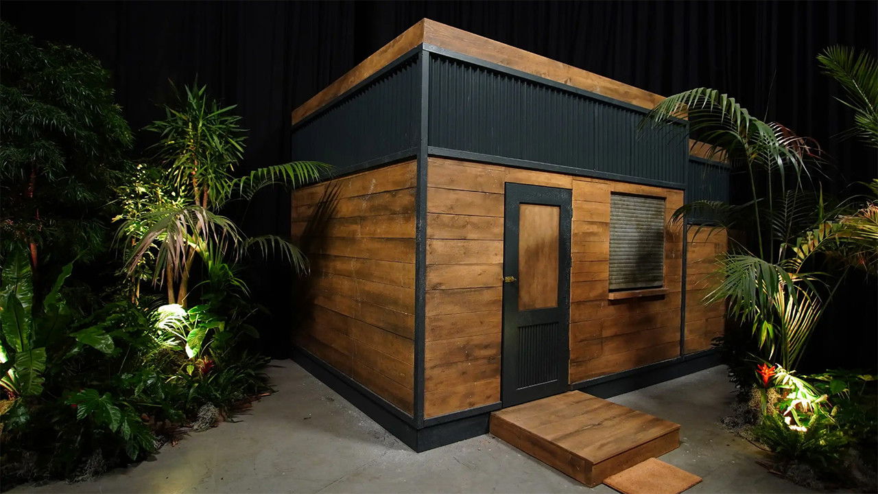 Ich bin ein Star - Die große Dschungelshow backdrop