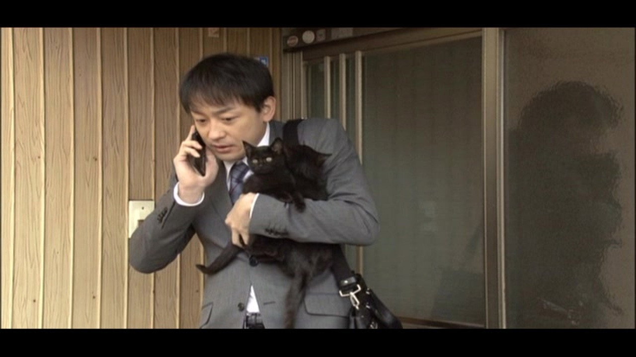 くろねこルーシー backdrop