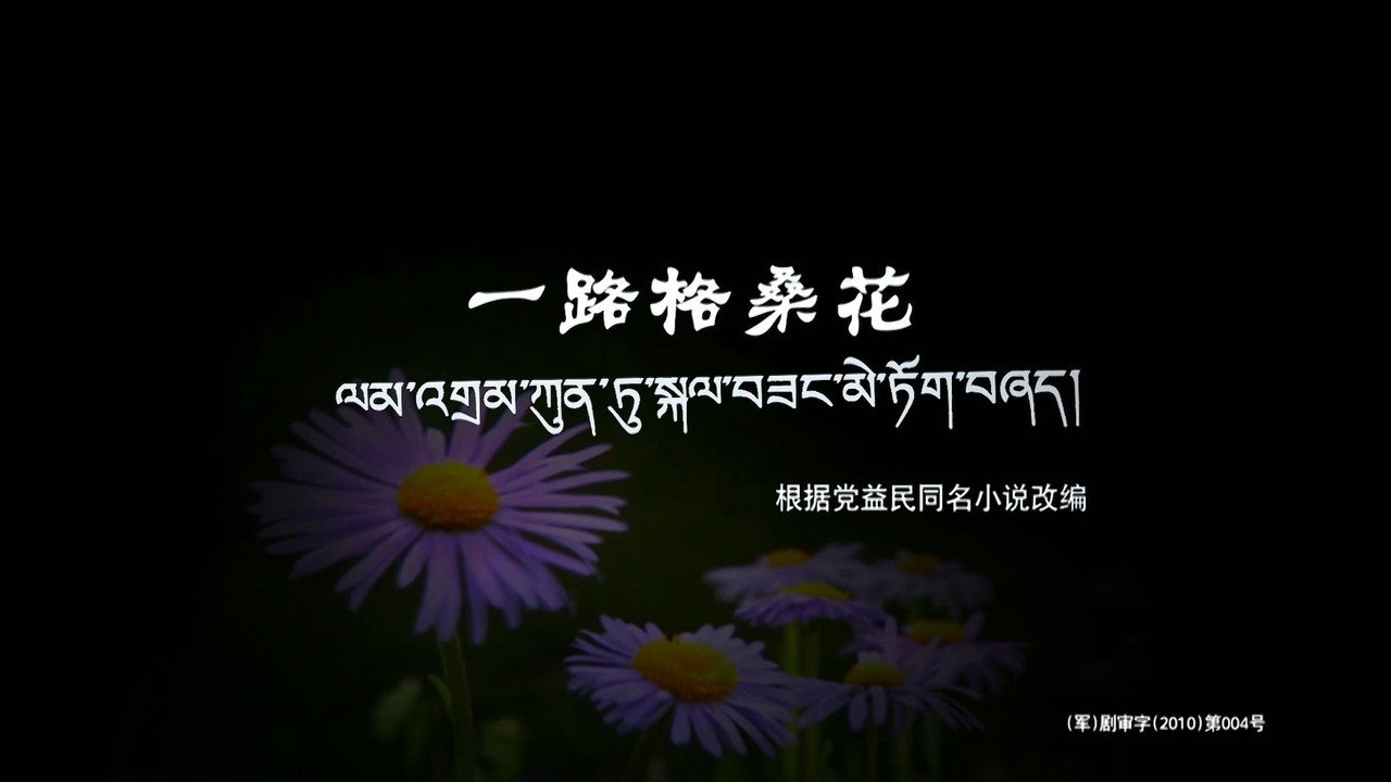 一路格桑花 backdrop