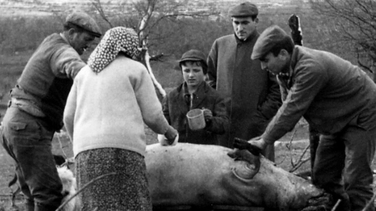 Viaggio nel Sud backdrop