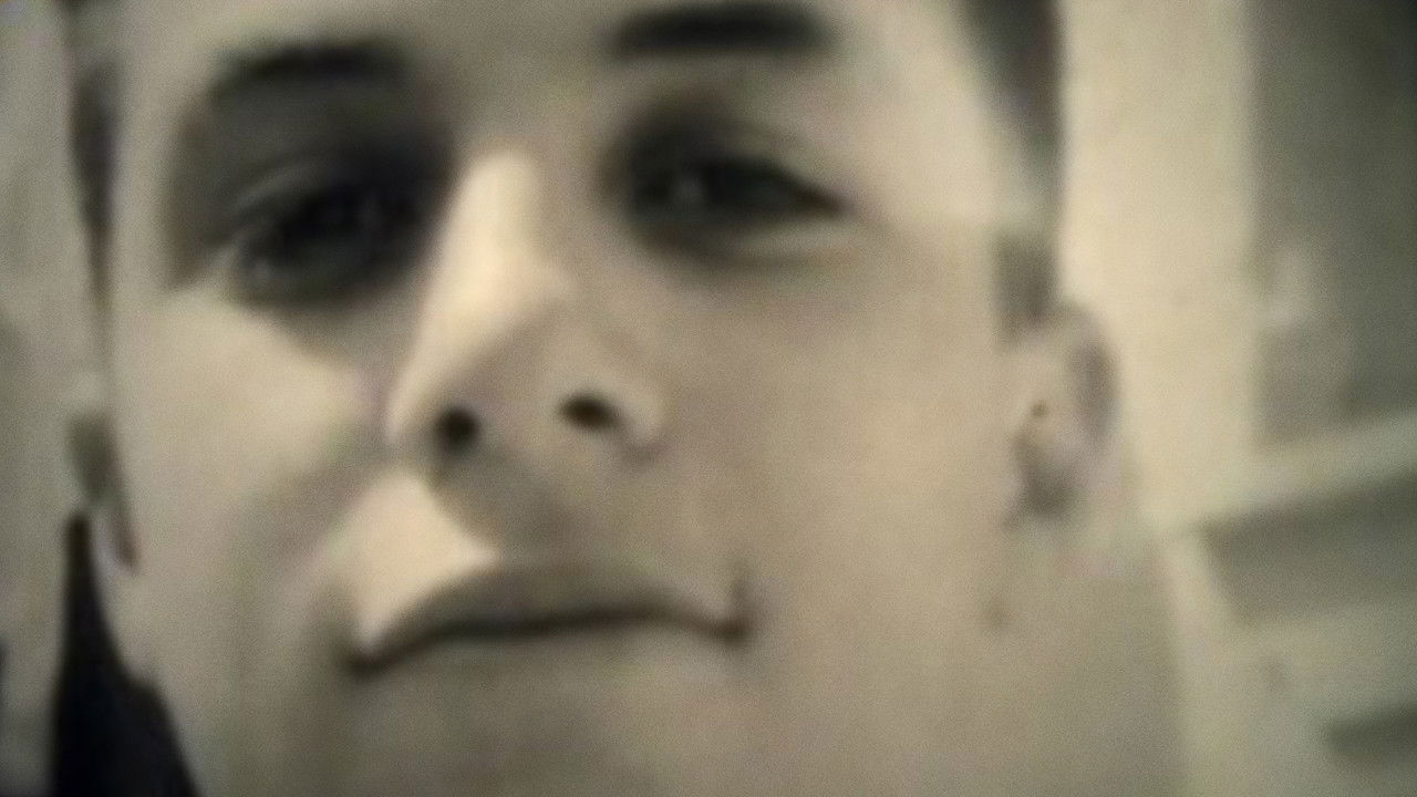 The Long Voyage of the Yellow Bus backdrop