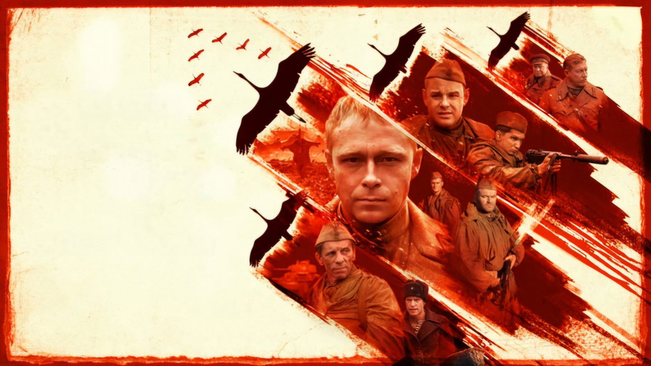 Call Sign «Cranes» backdrop