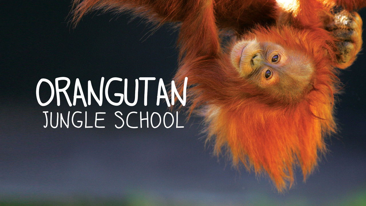 Orangutan Jungle School backdrop