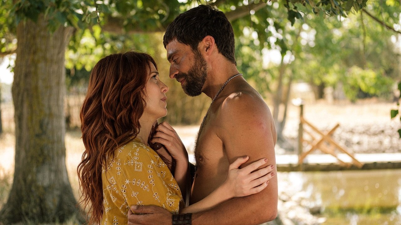 Pôr do Sol backdrop