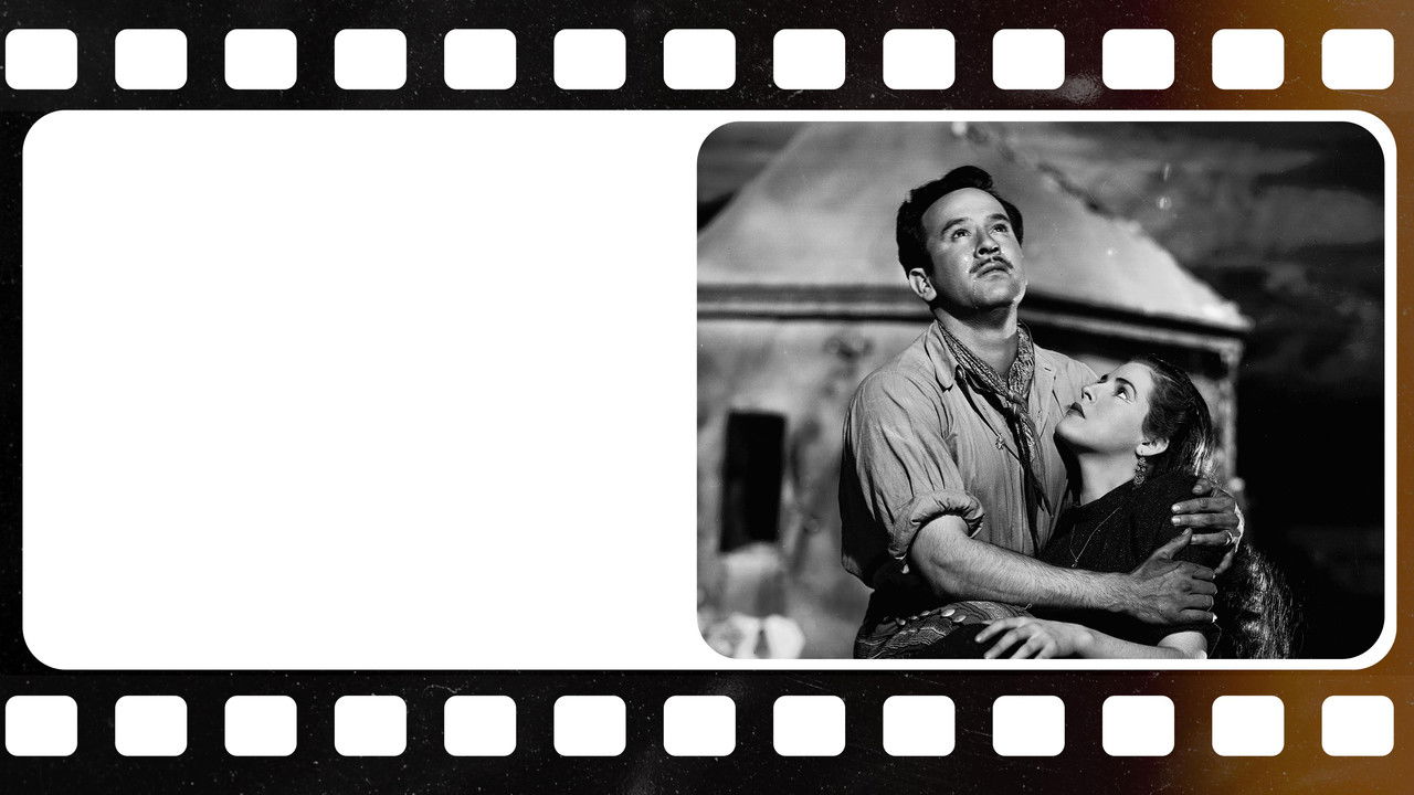 When the Brave Cry backdrop