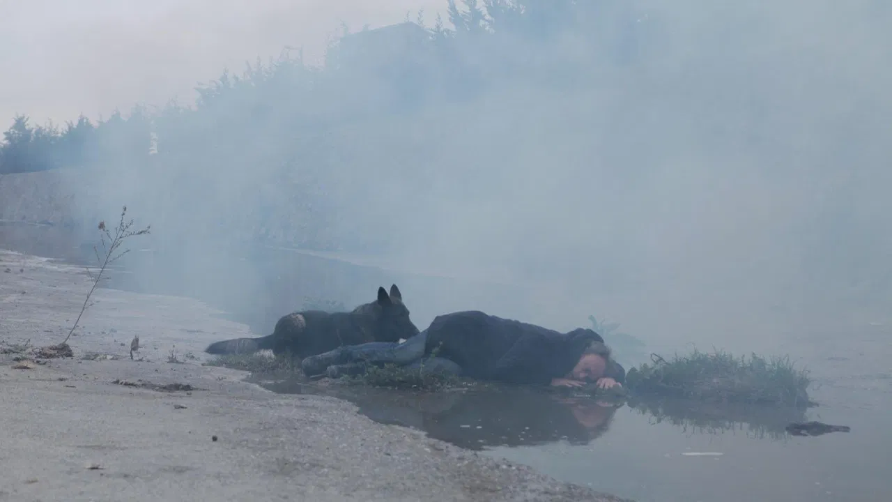 Why Can't I Be Tarkovsky? backdrop