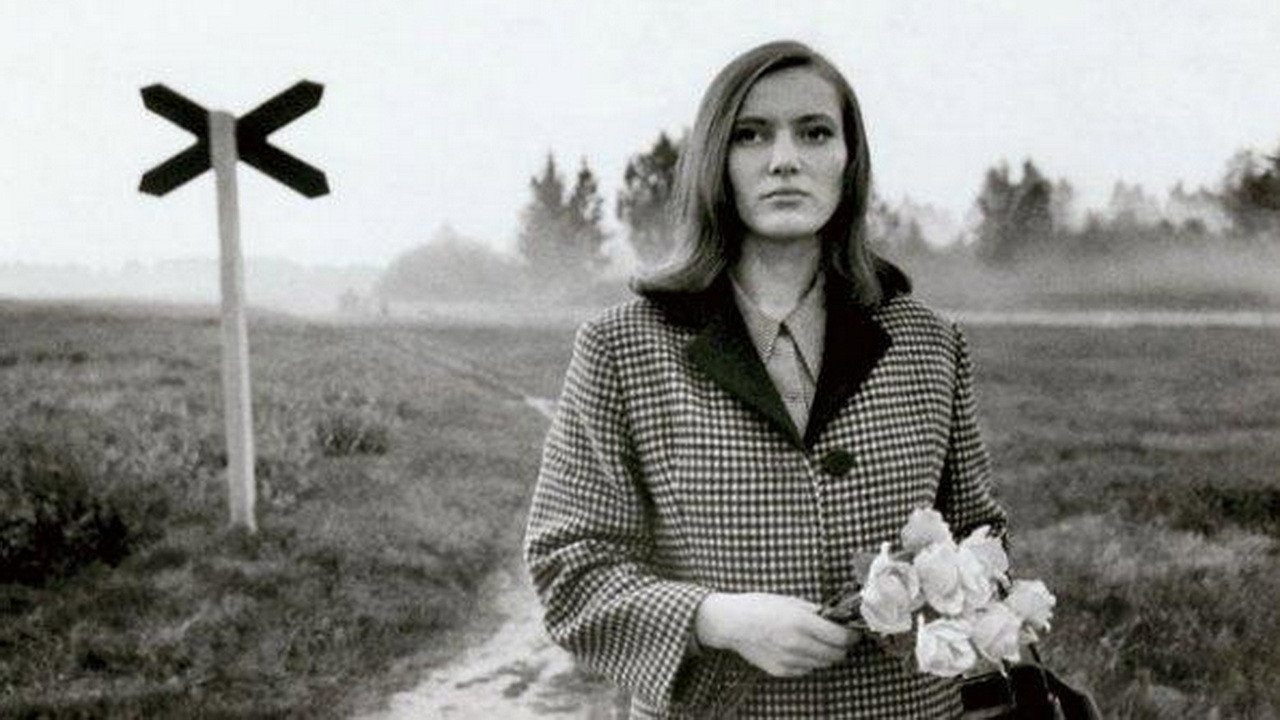 Pimedad aknad backdrop