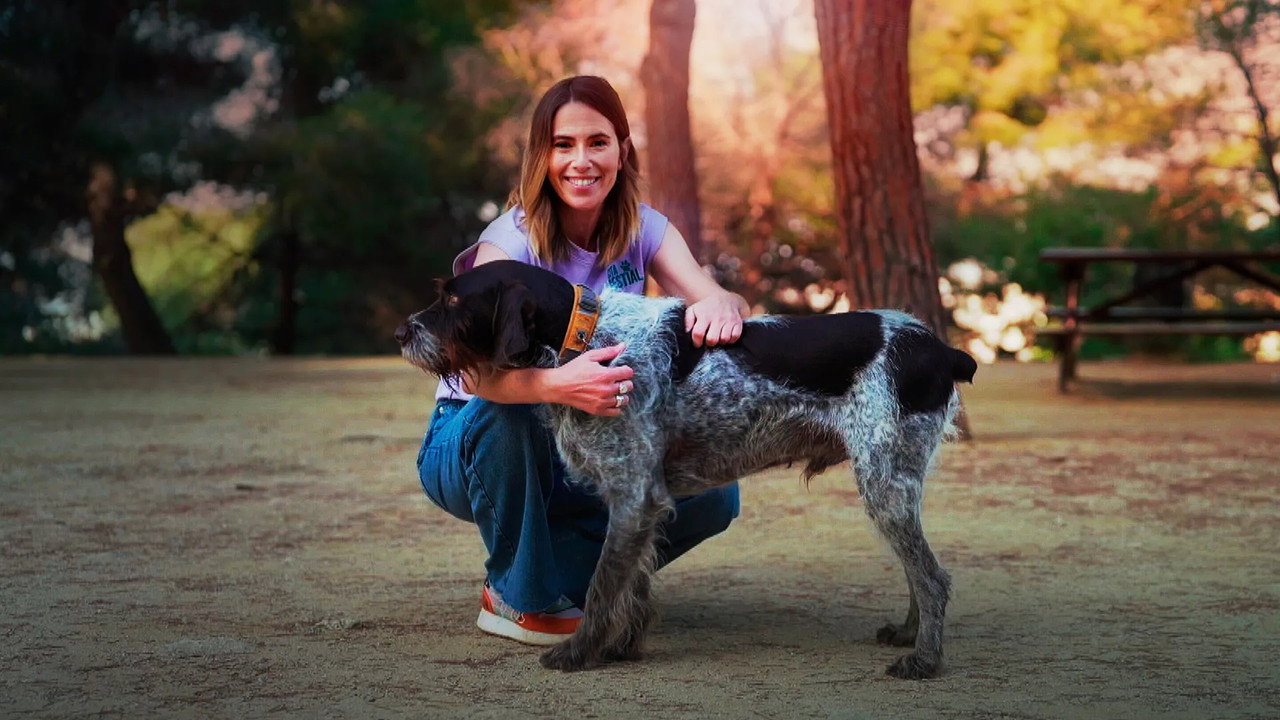 Cita bestial backdrop