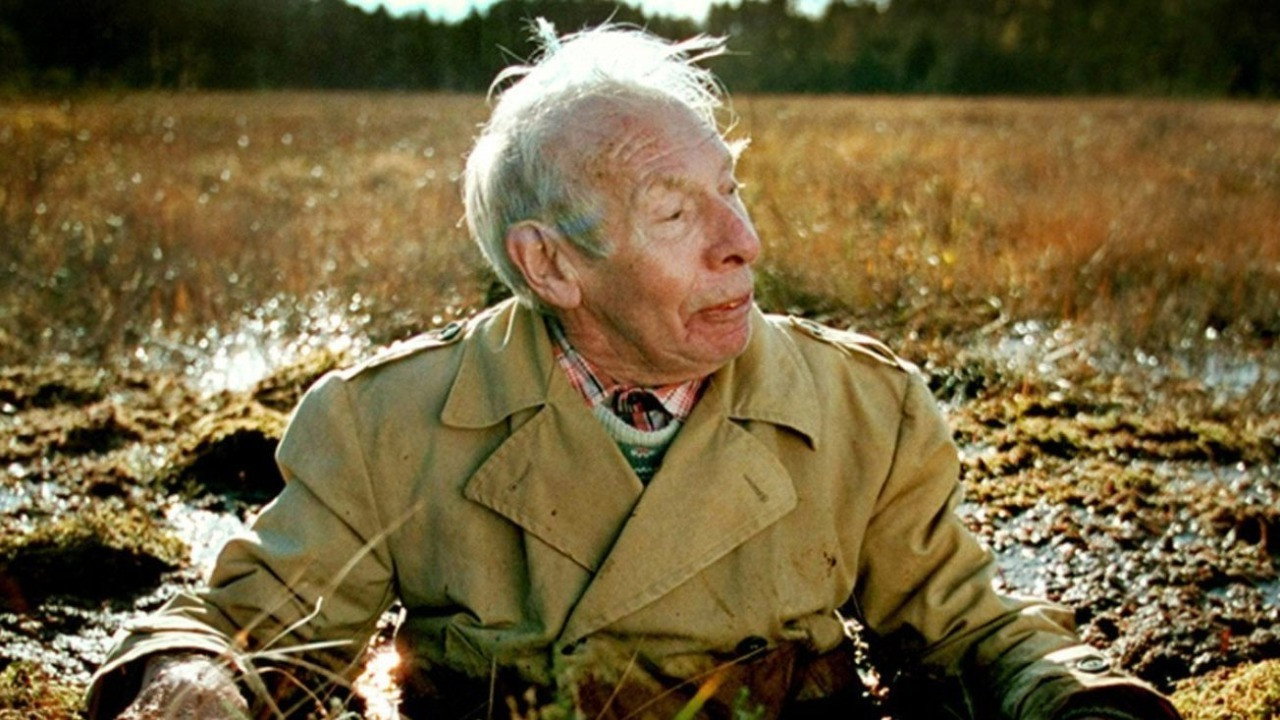 Most People Live in China backdrop