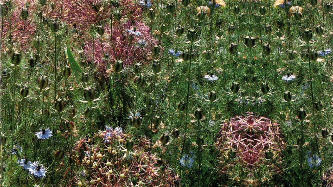Gardens of the World with Audrey Hepburn backdrop
