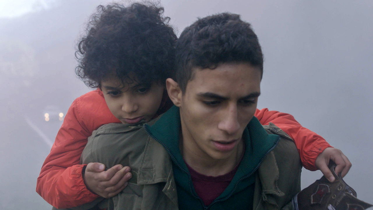 Despite the Fog backdrop