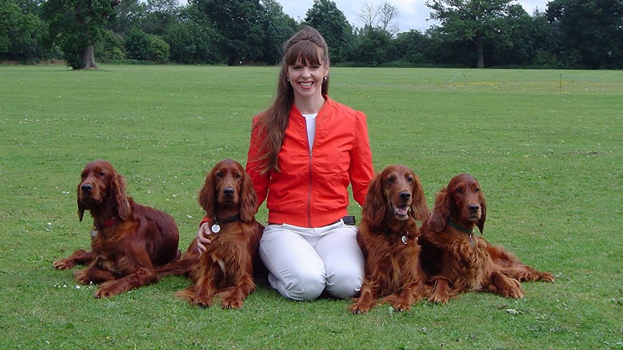 It's Me or the Dog backdrop