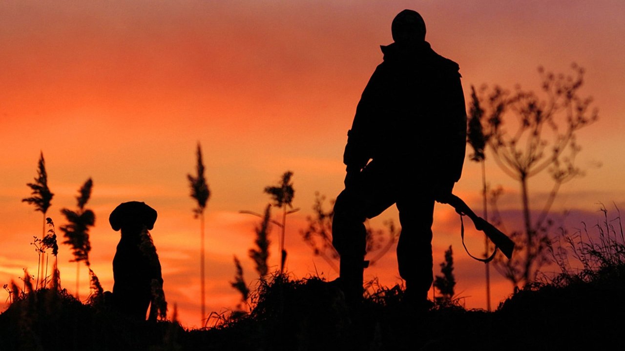 The Hunters backdrop