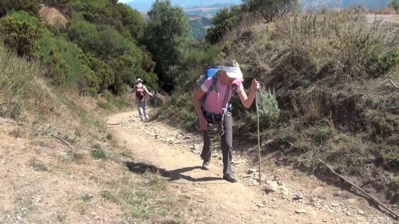 Bertelsen Walks the Camino backdrop