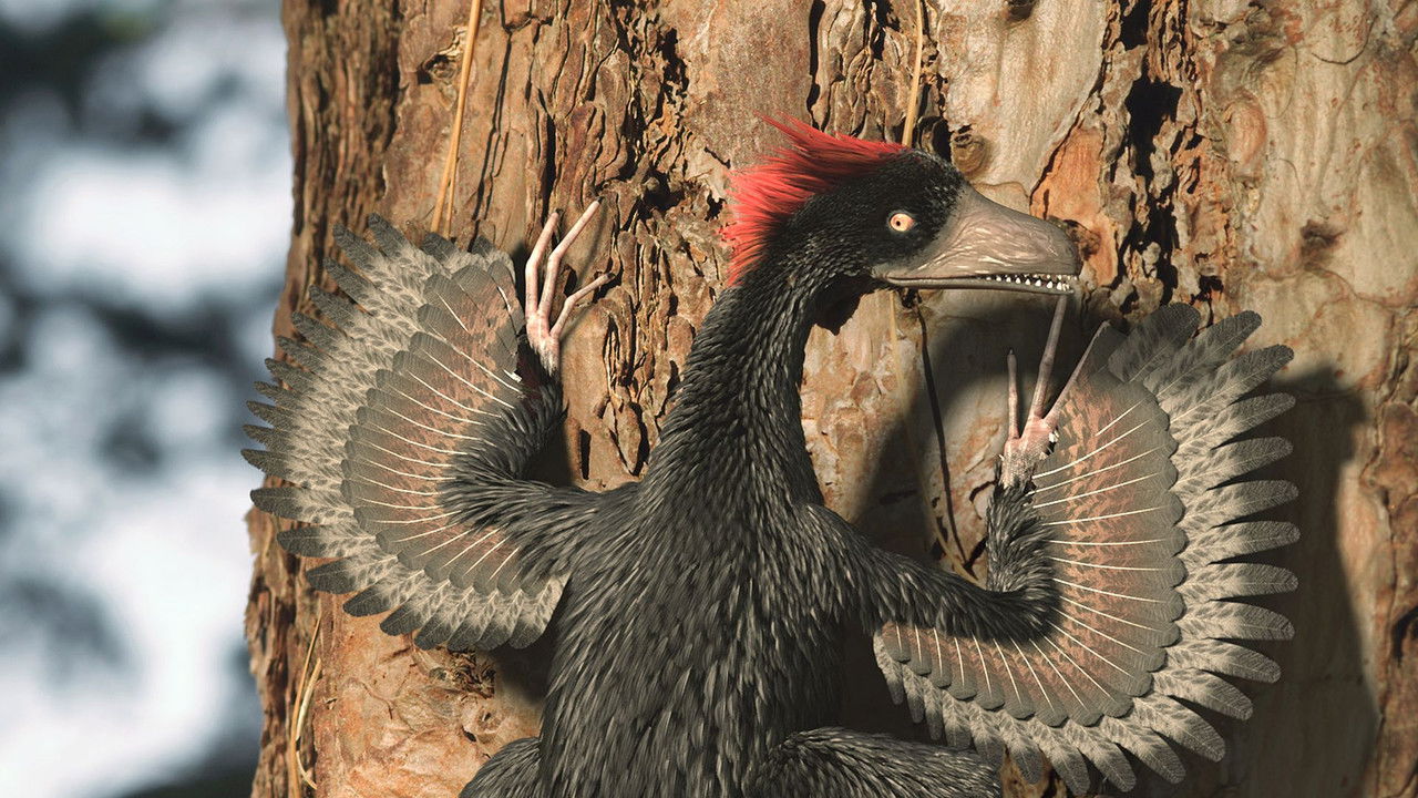 A New Prehistory backdrop