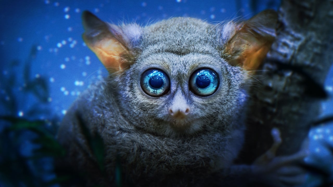 Earth at Night in Colour backdrop