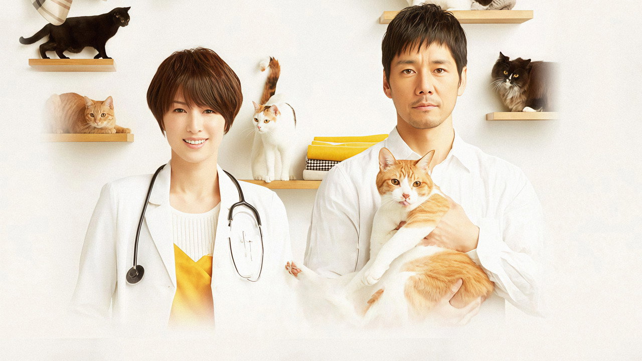 Blanket Cats backdrop