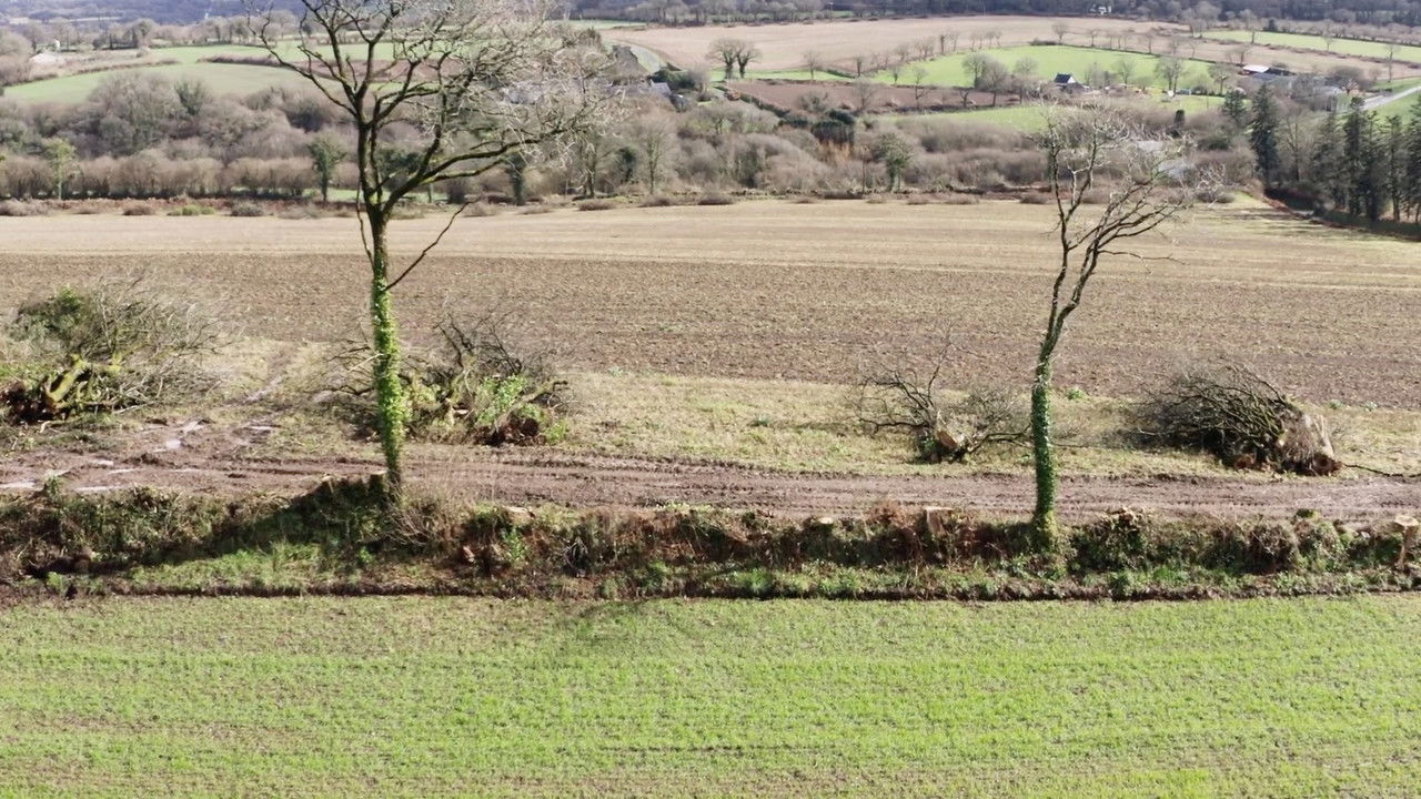 Le village qui voulait replanter des arbres backdrop