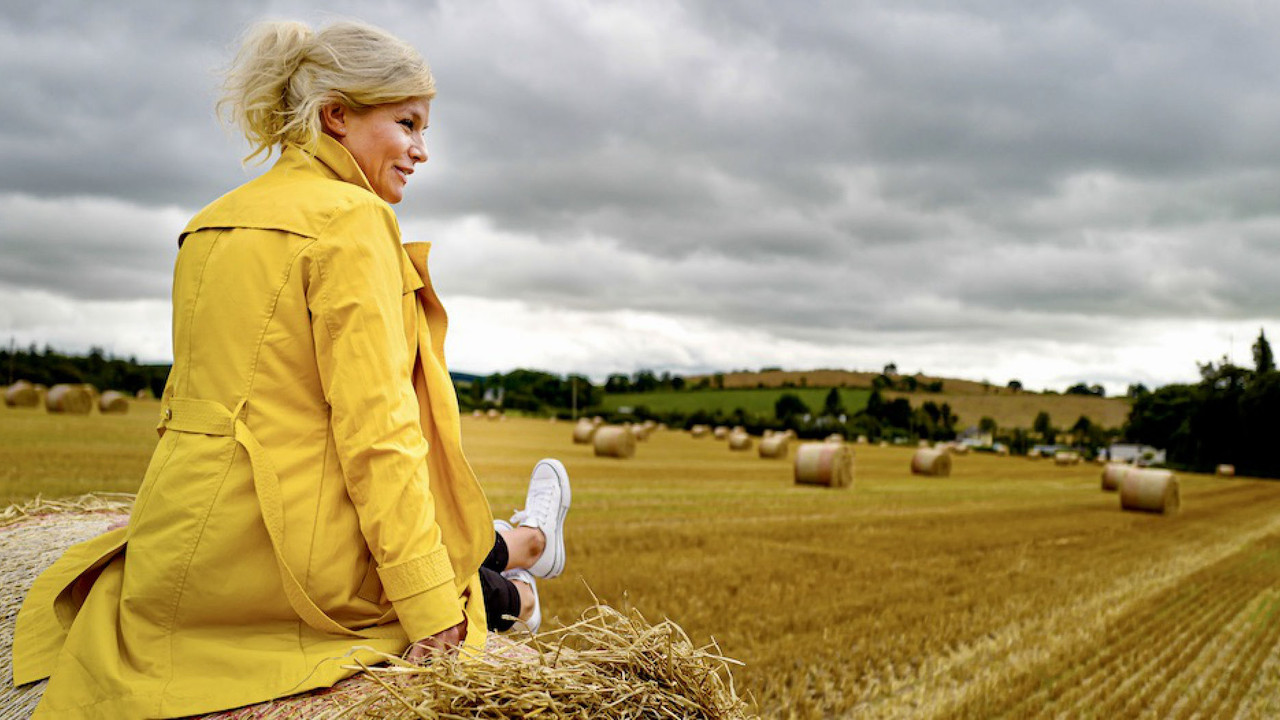 Inas Reisen backdrop