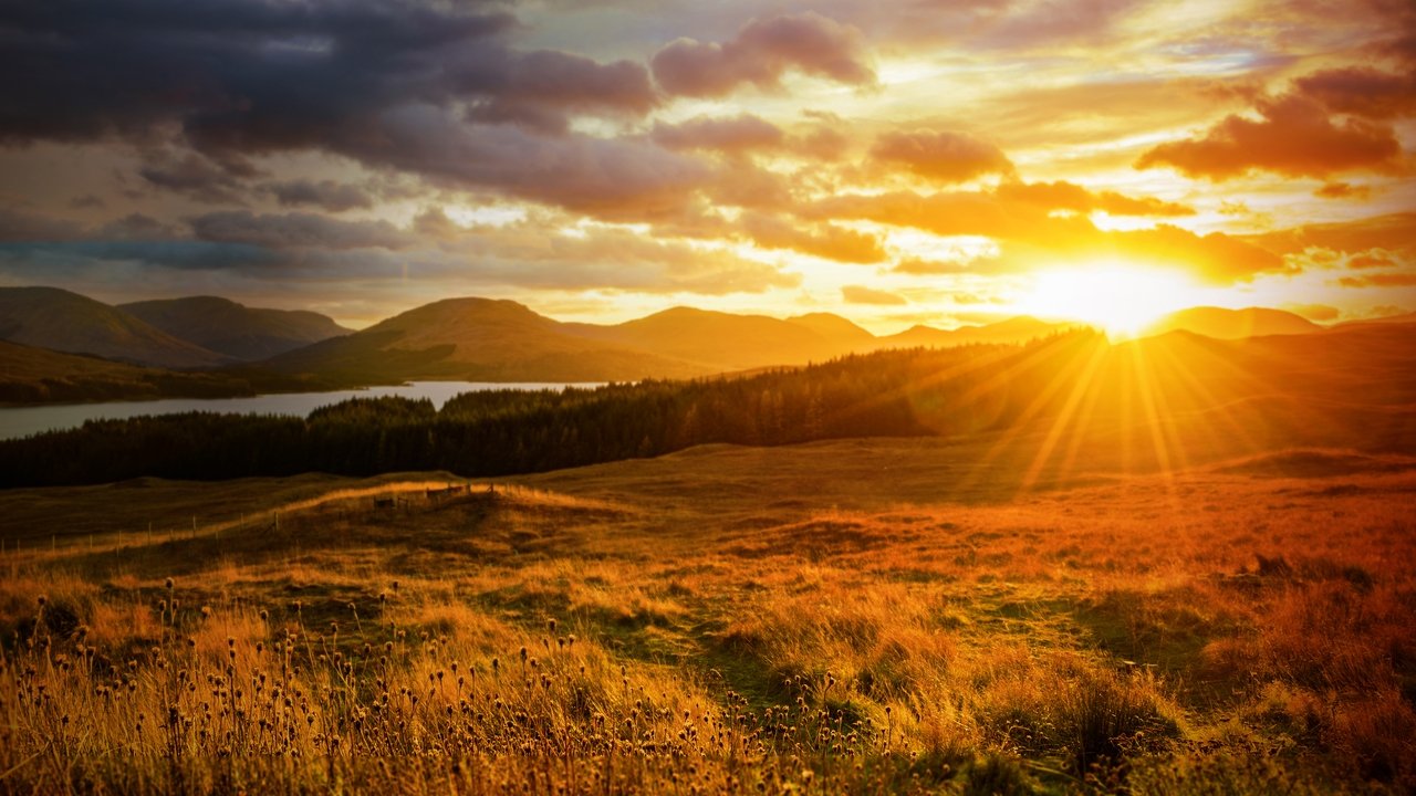 Autumnwatch backdrop