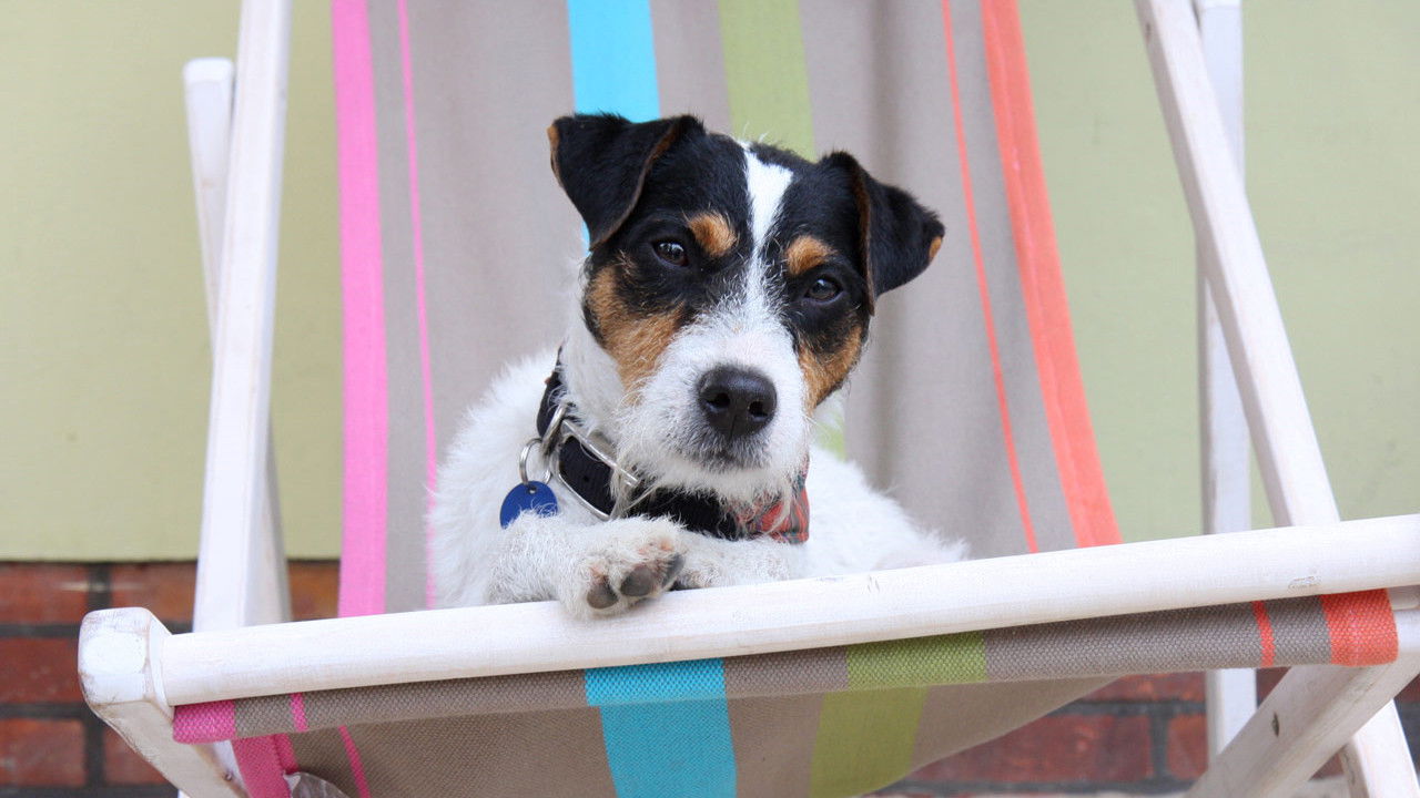 Here Comes Kalle backdrop