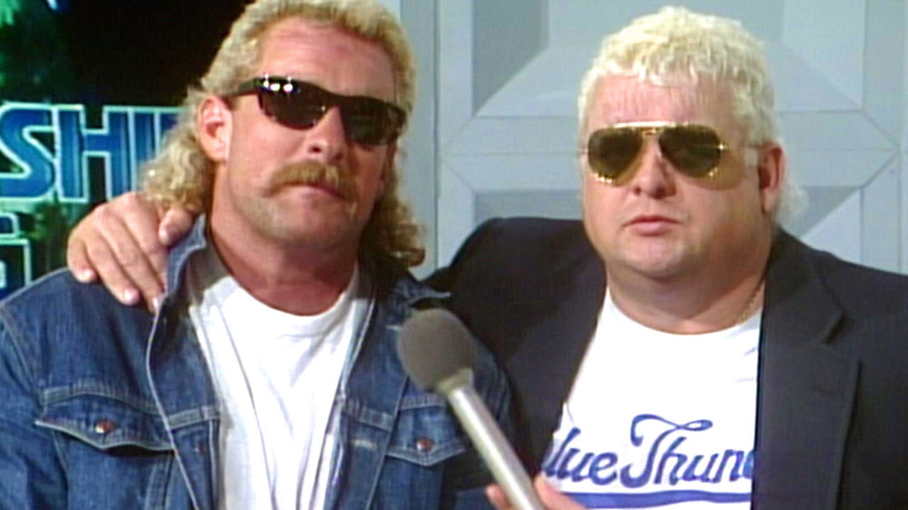 NWA World Championship Wrestling backdrop