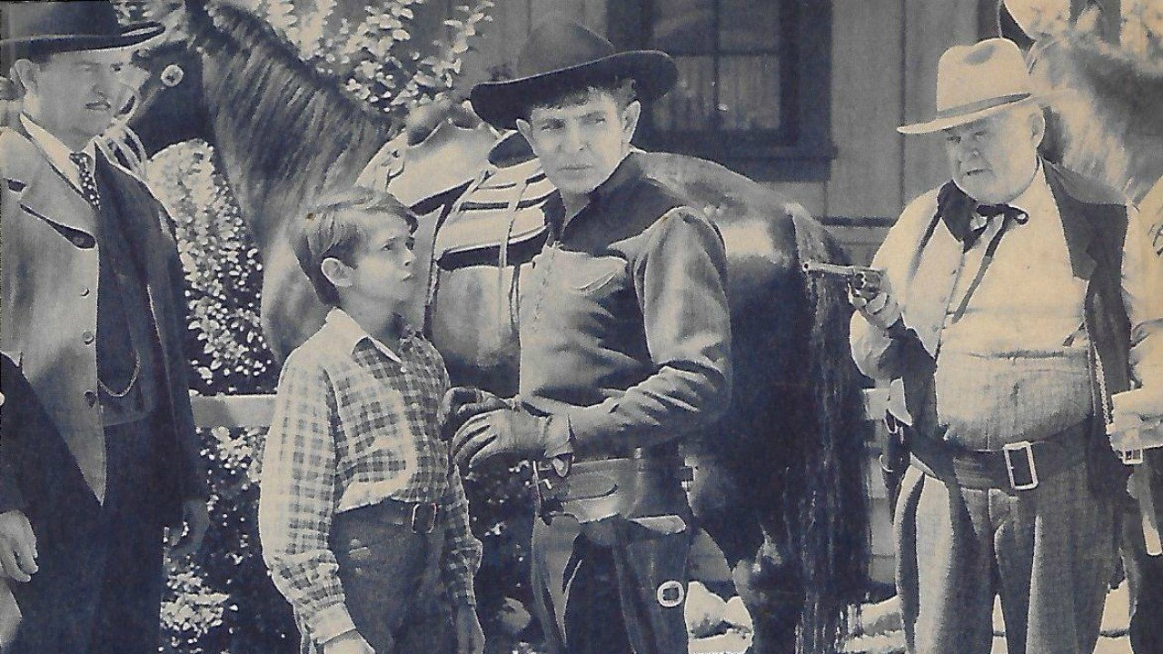 Shadows on the Sage backdrop