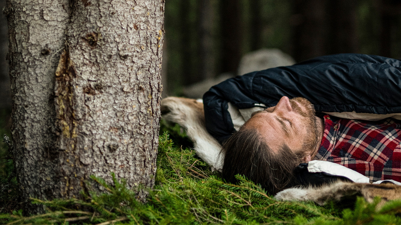 Under bar himmel backdrop