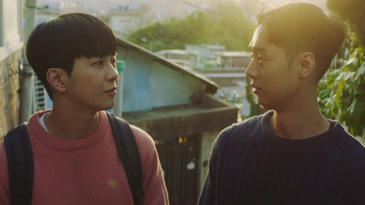 Night and Day backdrop