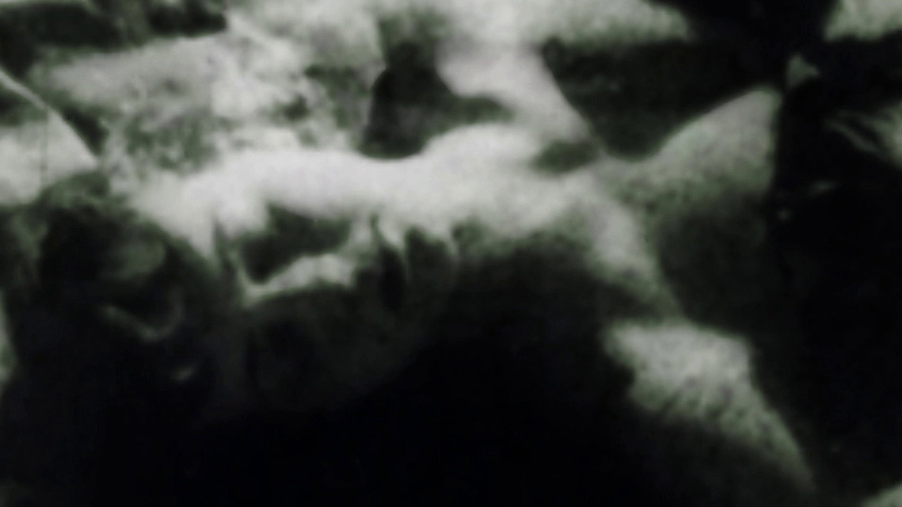 We exist through our eyes backdrop