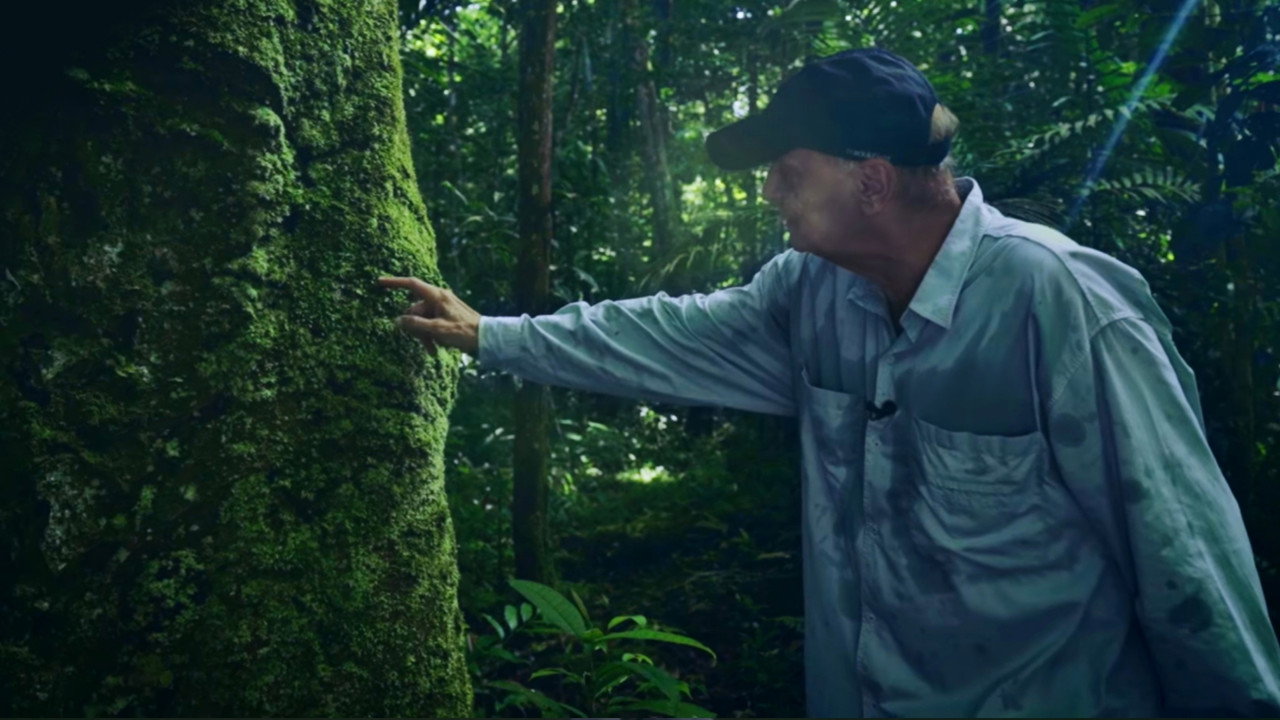 Drauzio em Campo backdrop