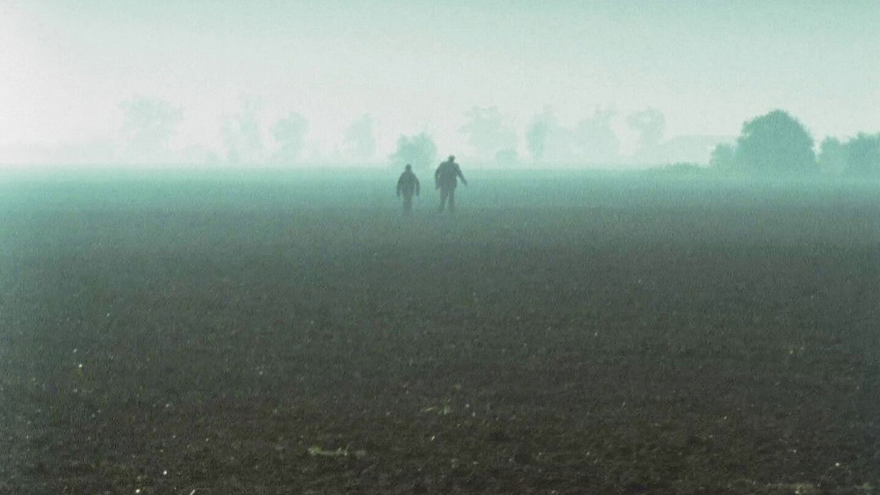 Flying Into the Wind backdrop