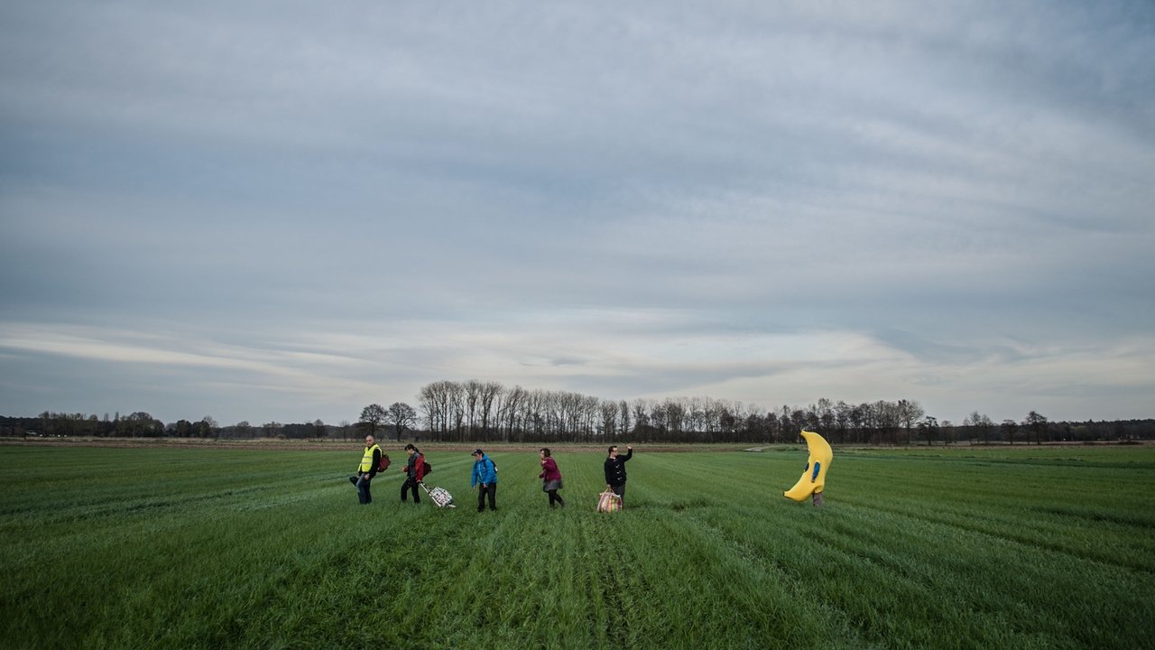 Tytgat Chocolat backdrop
