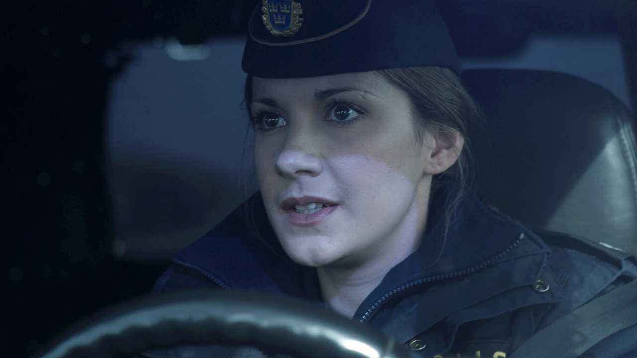 Wallander: The Leak backdrop