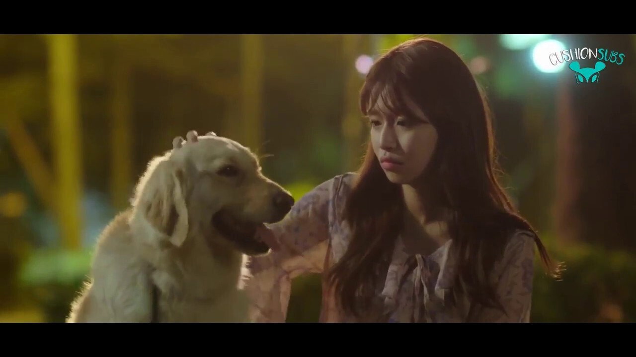 My Woofy Poofy Love backdrop