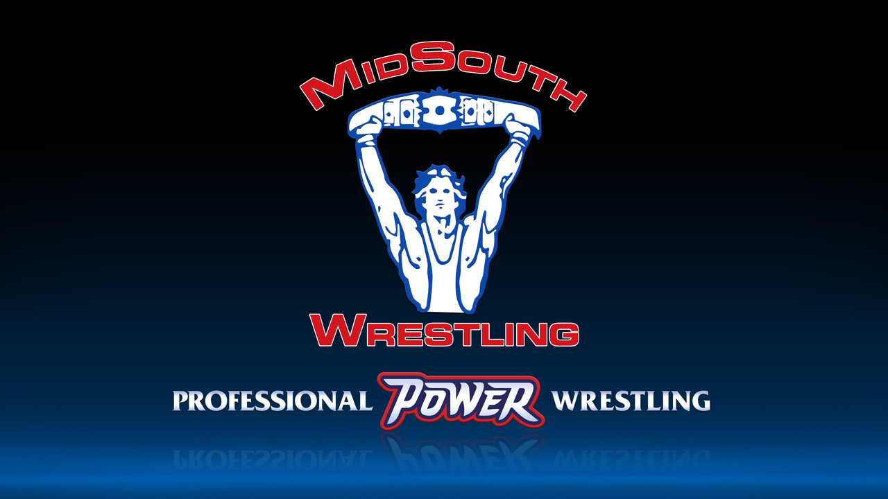 Power Pro Wrestling backdrop