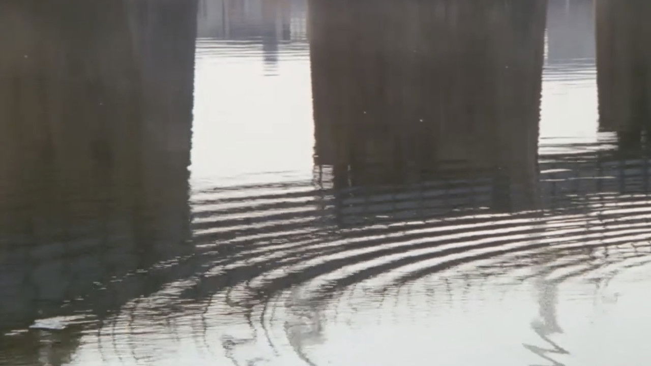 Ginza Neon District: A Woman's Climax backdrop