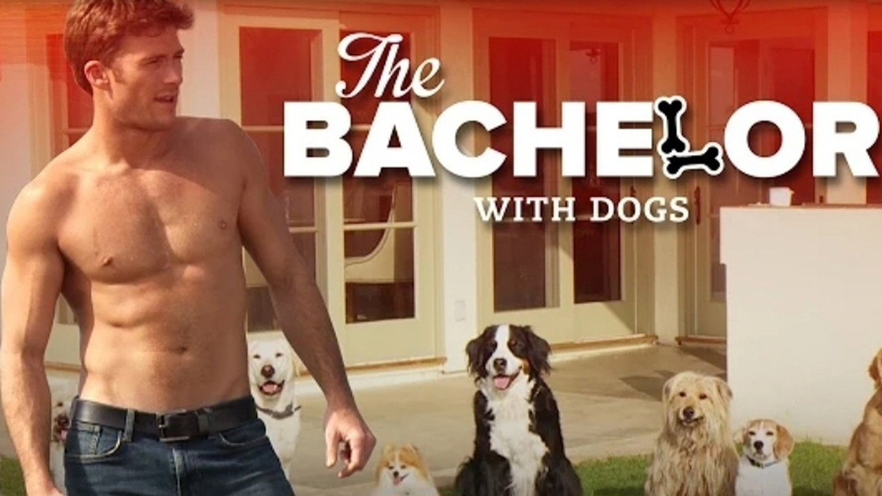 The Bachelor with Dogs and Scott Eastwood backdrop