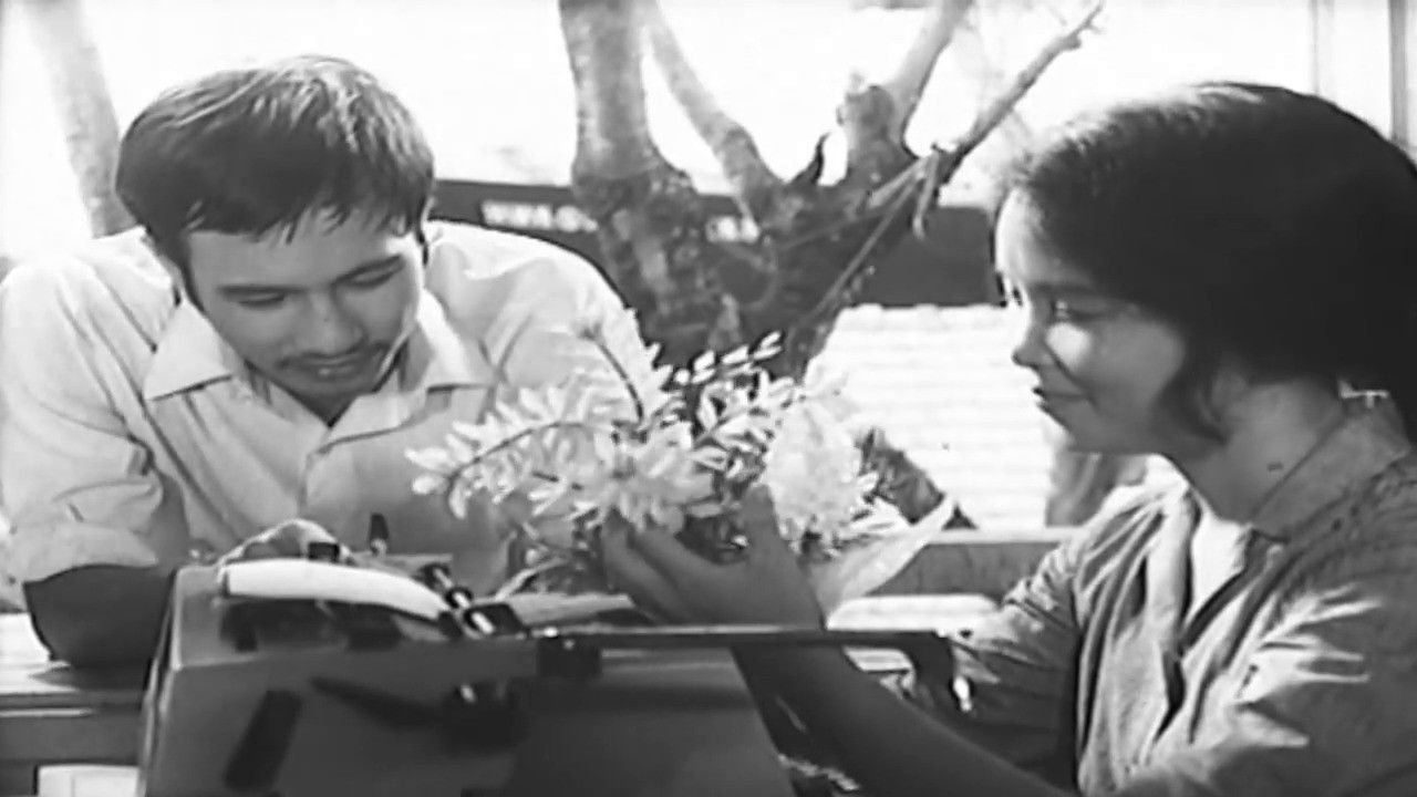 Stars on the Sea backdrop