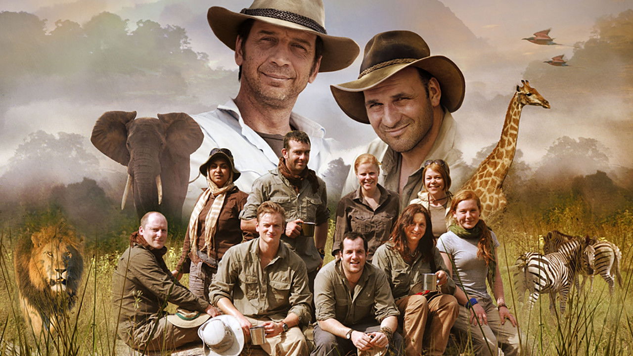 Wildest Dreams backdrop