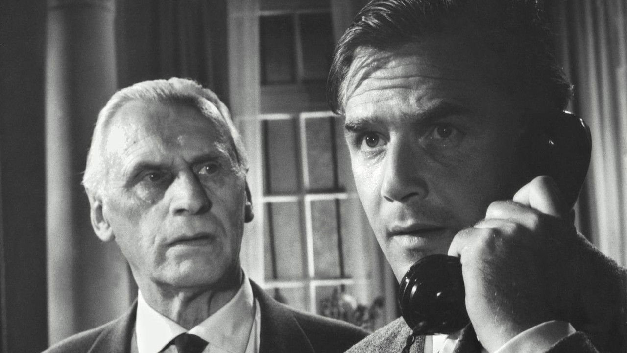 The Terrible People backdrop