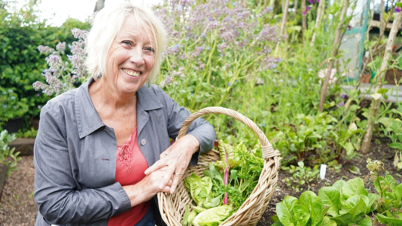 Gardening with Carol Klein backdrop