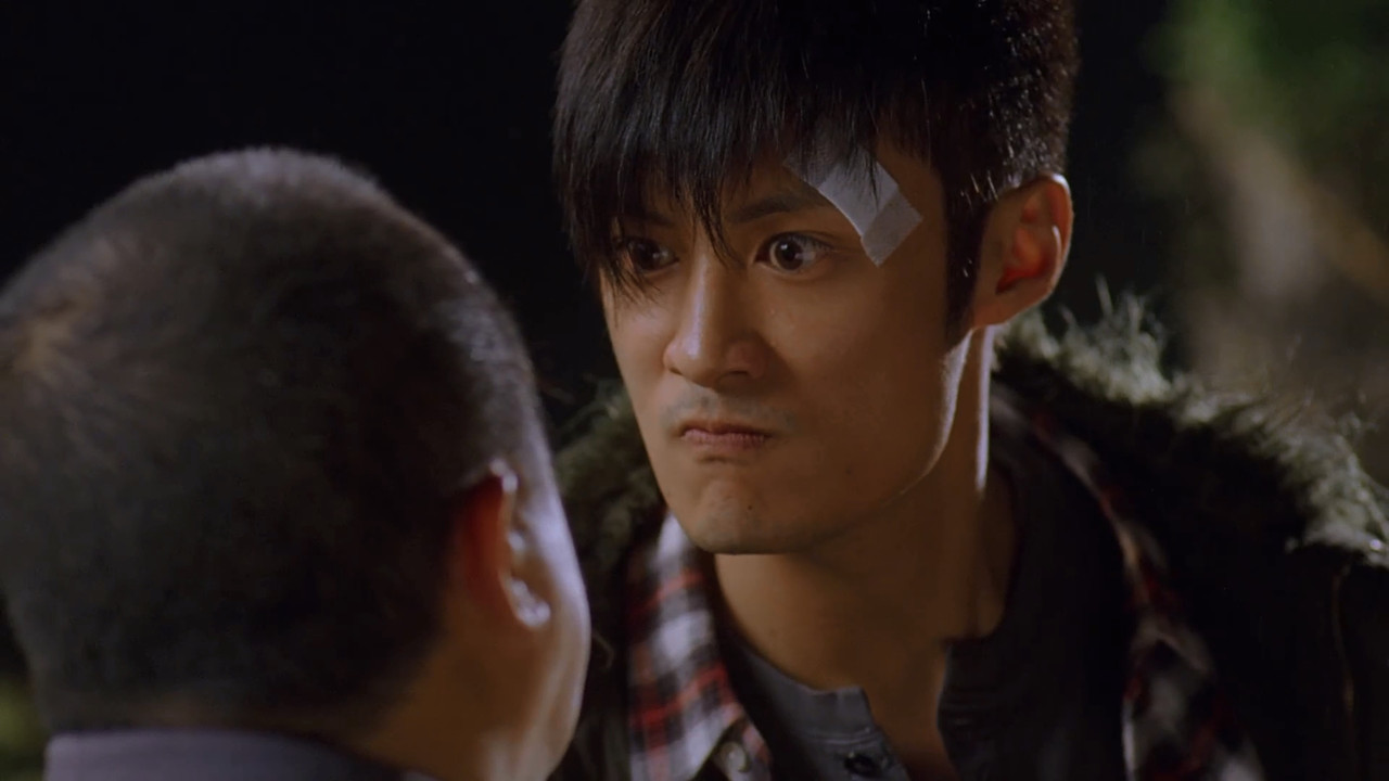 Colour of the Loyalty backdrop